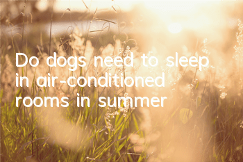 Do dogs need to sleep in air-conditioned rooms in summer?