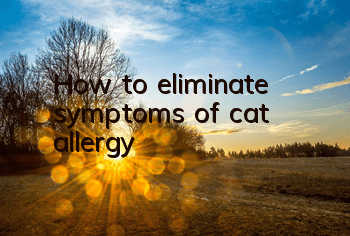 How to eliminate symptoms of cat allergy