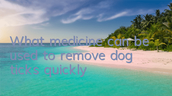 What medicine can be used to remove dog ticks quickly?