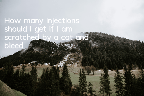 How many injections should I get if I am scratched by a cat and bleed?