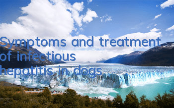 Symptoms and treatment of infectious hepatitis in dogs