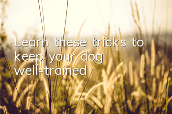 Learn these tricks to keep your dog well-trained!