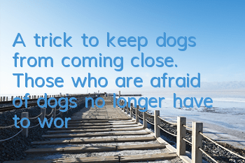 A trick to keep dogs from coming close. Those who are afraid of dogs no longer have to worry about going out!