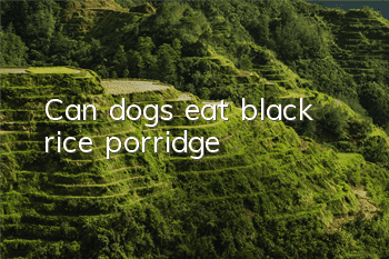 Can dogs eat black rice porridge?