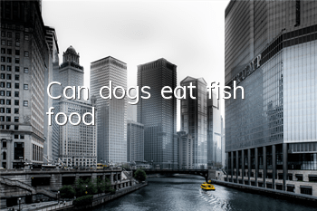 Can dogs eat fish food?