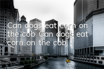 Can dogs eat corn on the cob? Can dogs eat corn on the cob?