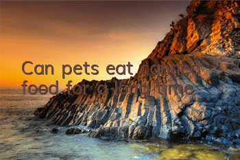 Can pets eat canned food for a long time?
