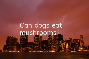 Can dogs eat mushrooms?