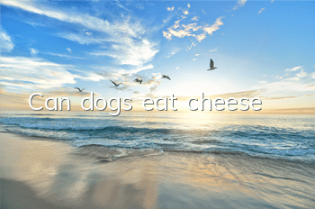 Can dogs eat cheese?
