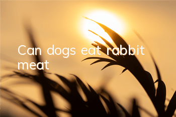 Can dogs eat rabbit meat?