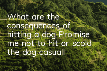 What are the consequences of hitting a dog? Promise me not to hit or scold the dog casually, okay?