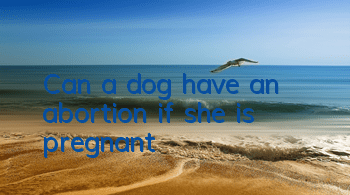 Can a dog have an abortion if she is pregnant?