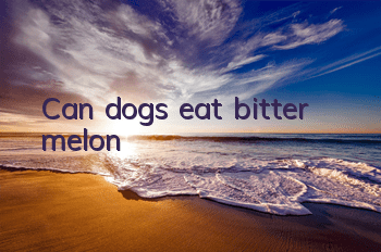 Can dogs eat bitter melon?