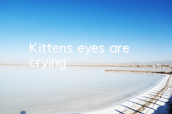 Kitten's eyes are crying