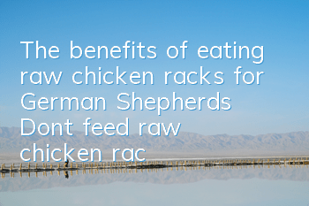 The benefits of eating raw chicken racks for German Shepherds: Don’t feed raw chicken racks casually!