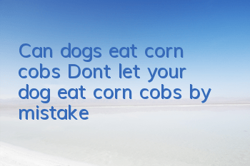 Can dogs eat corn cobs? Don’t let your dog eat corn cobs by mistake!