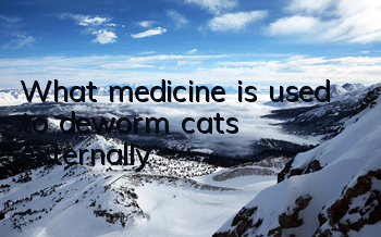 What medicine is used to deworm cats externally?