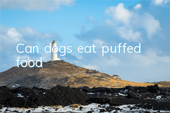 Can dogs eat puffed food?