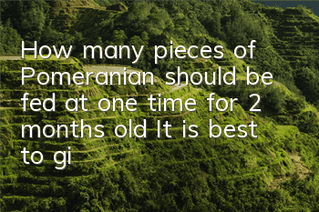 How many pieces of Pomeranian should be fed at one time for 2 months old? It is best to give the dog soft food.