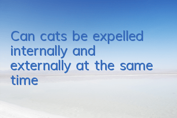 Can cats be expelled internally and externally at the same time?