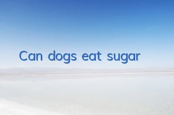 Can dogs eat sugar?