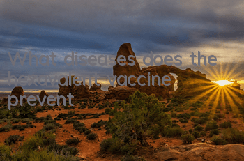 TWhat diseases does the hexavalent vaccine prevent?