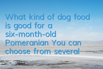What kind of dog food is good for a six-month-old Pomeranian? You can choose from several domestic dog foods!