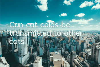 Can cat colds be transmitted to other cats?