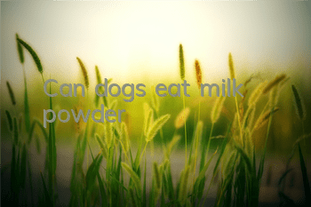 Can dogs eat milk powder?