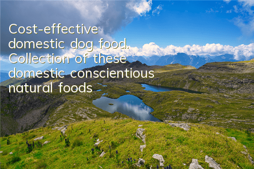 Cost-effective domestic dog food. Collection of these domestic conscientious natural foods!