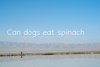 Can dogs eat spinach?