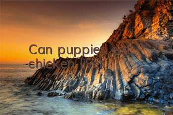 Can puppies eat chicken liver?