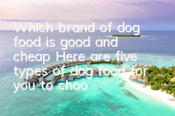 Which brand of dog food is good and cheap? Here are five types of dog food for you to choose from