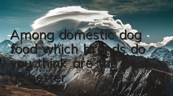 Among domestic dog food, which brands do you think are the best or better?