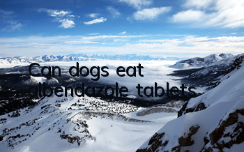 Can dogs eat albendazole tablets?