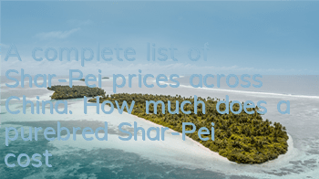 A complete list of Shar-Pei prices across China. How much does a purebred Shar-Pei cost?