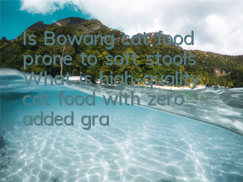 Is Bowang cat food prone to soft stools? What is high-quality cat food with zero added grains?