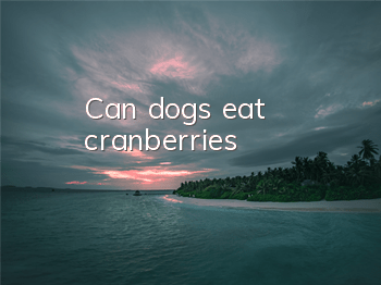Can dogs eat cranberries?