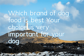 TWhich brand of dog food is best? Your choice is very important for your dog!