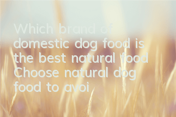 Which brand of domestic dog food is the best natural food? Choose natural dog food to avoid wasting money!