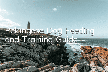 Pekingese Dog Feeding and Training Guide
