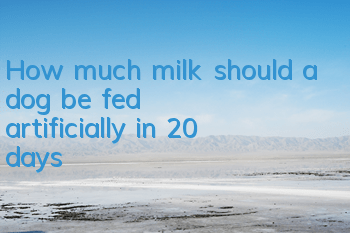 How much milk should a dog be fed artificially in 20 days?