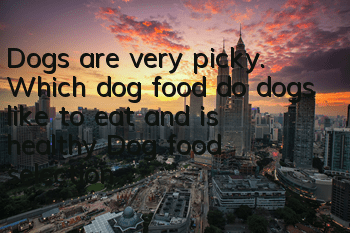 Dogs are very picky. Which dog food do dogs like to eat and is healthy? Dog food selection is crucial