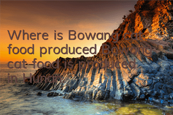 Where is Bowang cat food produced? Bowang cat food is produced in Hunan.