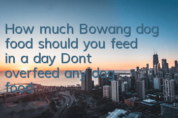 How much Bowang dog food should you feed in a day? Don’t overfeed any dog ​​food!
