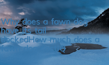 Why does a fawn dog have its tail docked_How much does a fawn dog cost|IQ
