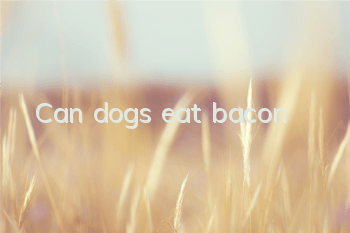 Can dogs eat bacon?