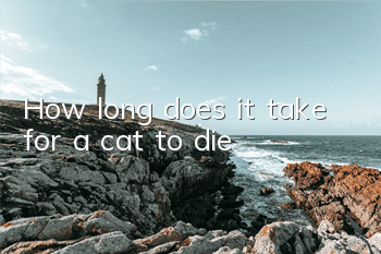How long does it take for a cat to die?