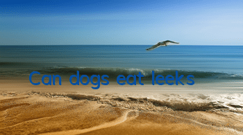 Can dogs eat leeks?