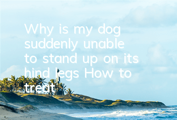 Why is my dog ​​suddenly unable to stand up on its hind legs? How to treat?